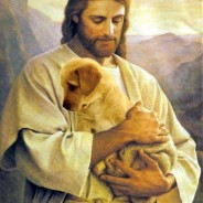 Como los perritos del Evangelio…